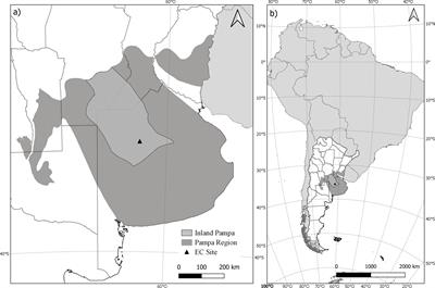 Cropland Net Ecosystem Exchange Estimation for the Inland Pampas (Argentina) Using EVI, Land Cover Maps, and Eddy Covariance Fluxes